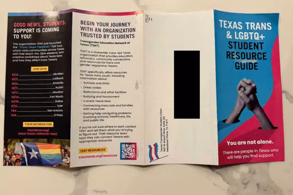 No matter who paid for it, Texas trans mailer highlights predatory radicalism