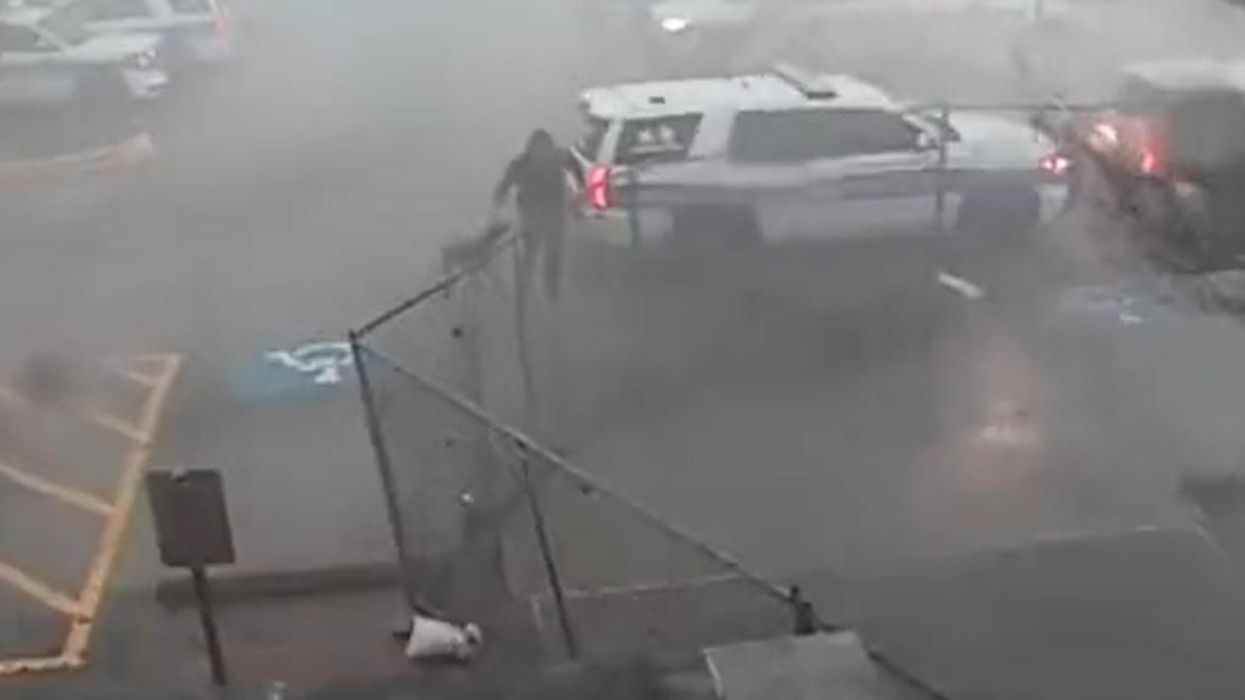 'No way I was going to leave him like that': Cop risks tornado winds for his K-9 partner