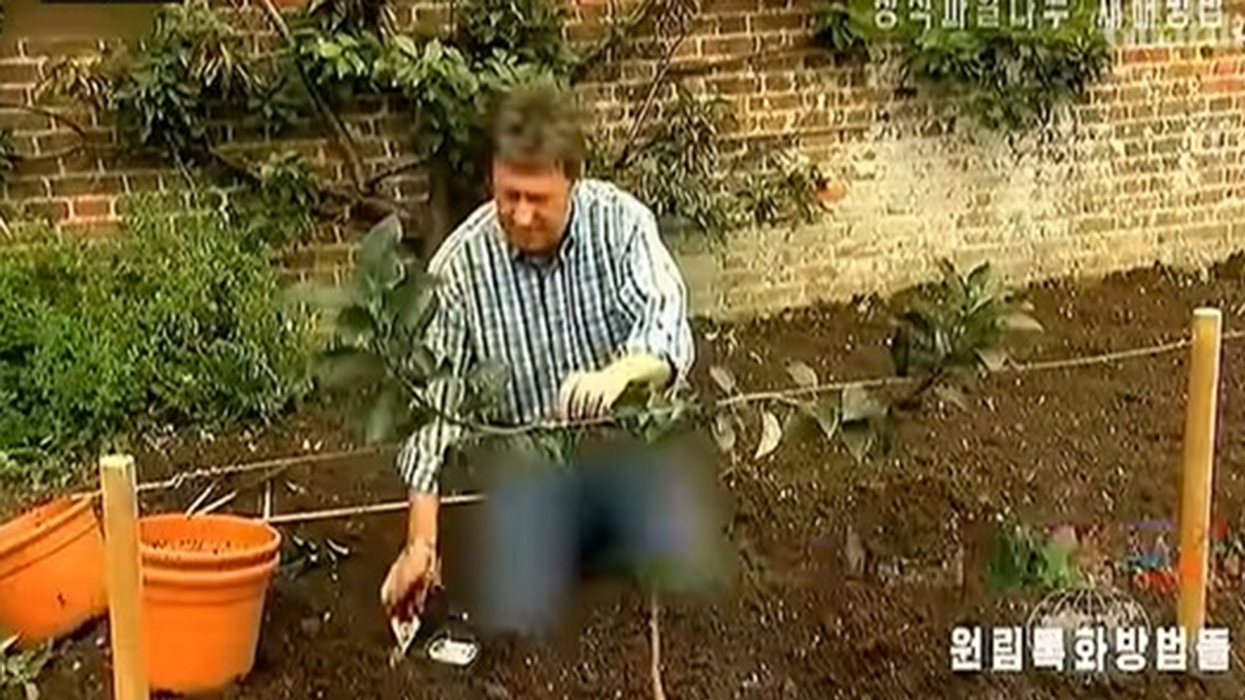 North Korea censors pair of jeans on gardening show as part of years-long crackdown on 'anti-socialist' behavior