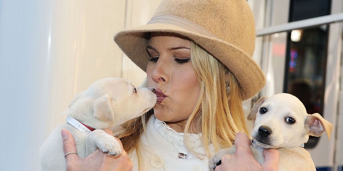 Not without my fur baby! Our bizarre new dog-worshipping religion Not without my fur baby! Our bizarre new dog-worshipping religion