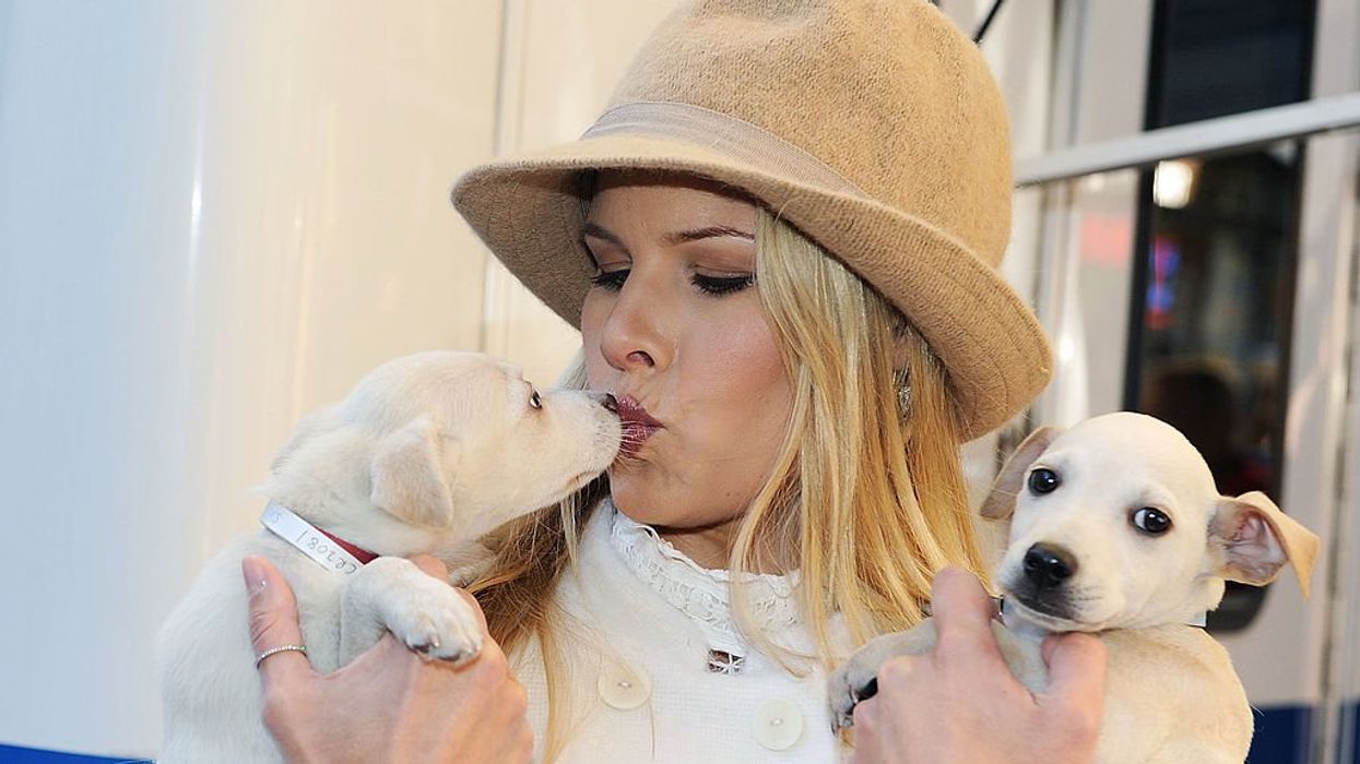 Not without my fur baby! Our bizarre new dog-worshipping religion