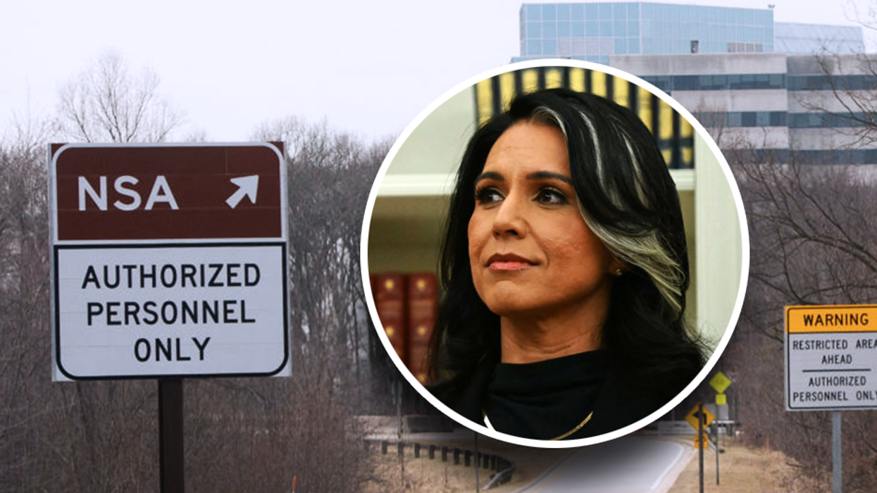 NSA officials called Tulsi Gabbard 'Russian agent' and MAGA cult member in secret chat room