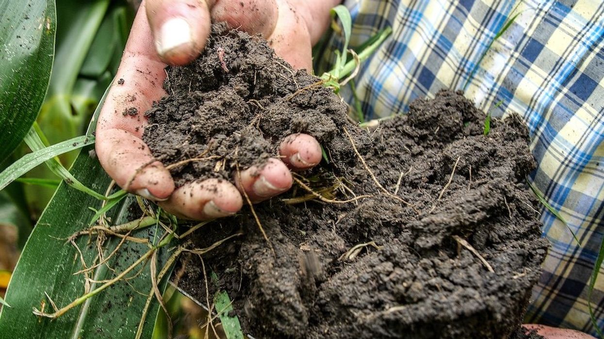 Nutritional renaissance: Better soil, better food, better health