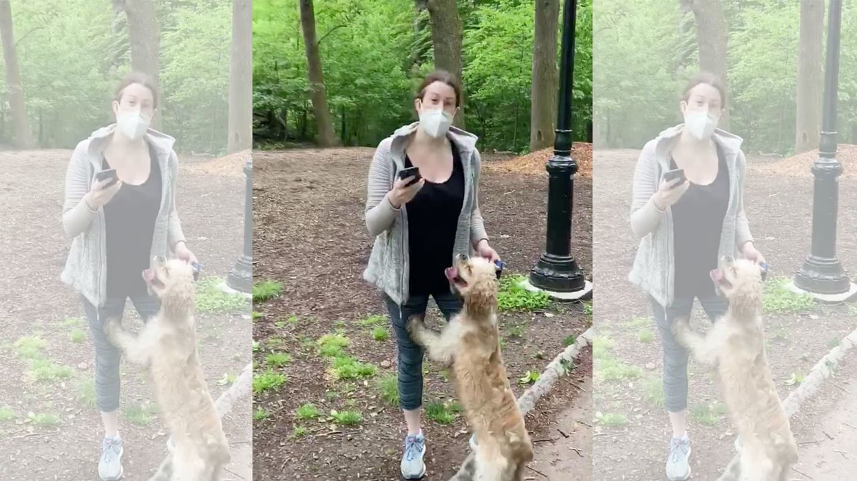 NY Times circulates false claim about woman fired over viral Central Park racism video