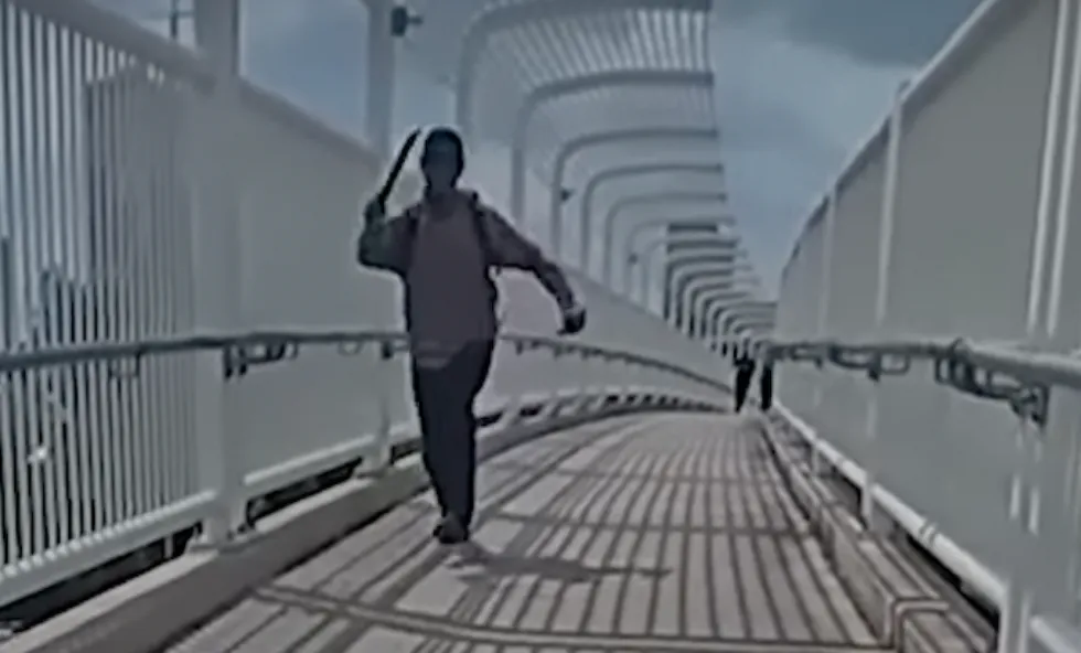 Officer meets machete-wielding male running at her with a little more firepower, just-released bodycam video shows
