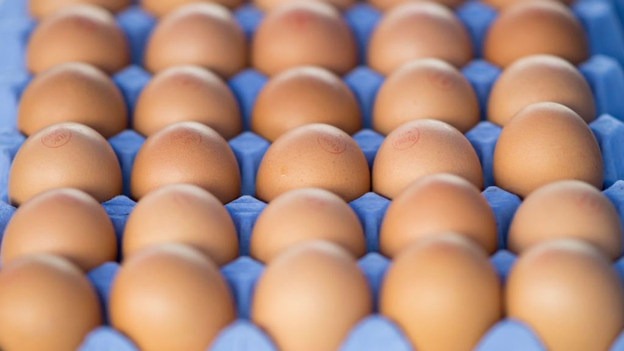 Officials warn that already soaring egg prices will increase this year — here's why Americans are facing an egg crisis