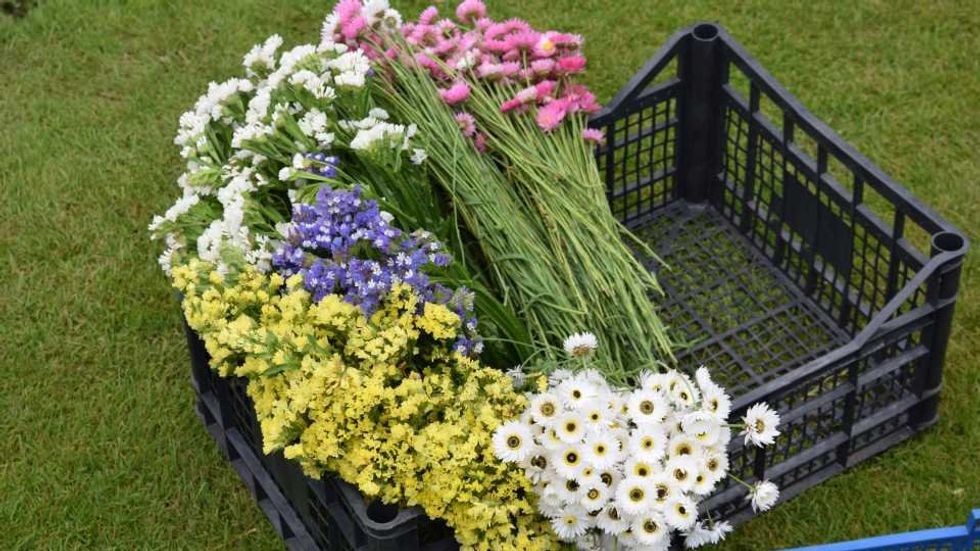 Provisions: Certified American Grown