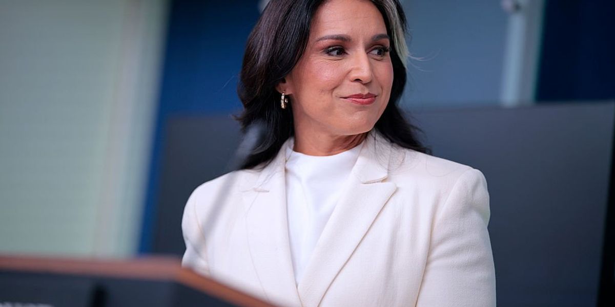 Over target: Panicked liberal media attacks Gabbard’s ‘treasonous conspiracy’ claim Over target: Panicked liberal media attacks Gabbard’s ‘treasonous conspiracy’ claim