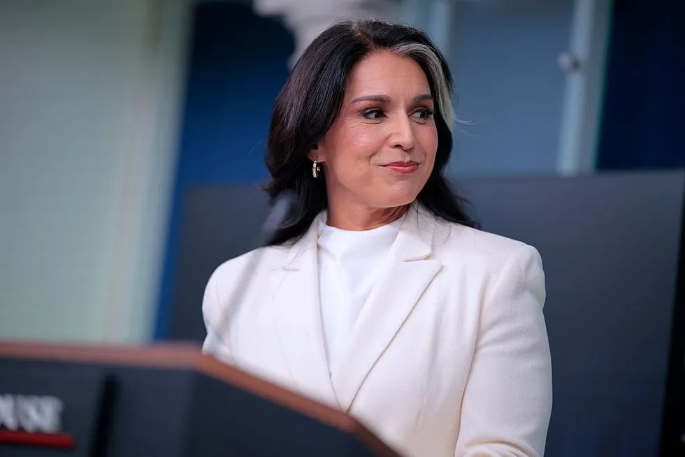 Over target: Panicked liberal media attacks Gabbard's 'treasonous conspiracy' claim