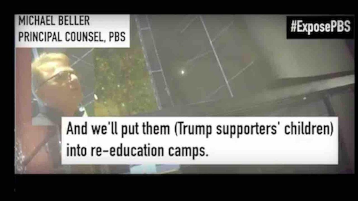 PBS staff attorney said gov't should take away children of Trump voters and put them in 'reeducation camps.' Now he's out of a job.