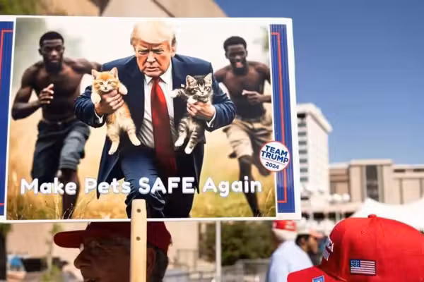 Pets of Springfield, rejoice! DHS is coming for suspended-status Haitians after Biden judge takes 'the L'