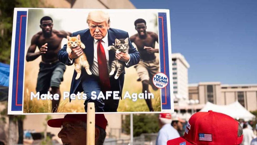 Pets of Springfield, rejoice! DHS is coming for suspended-status Haitians after Biden judge takes 'the L'