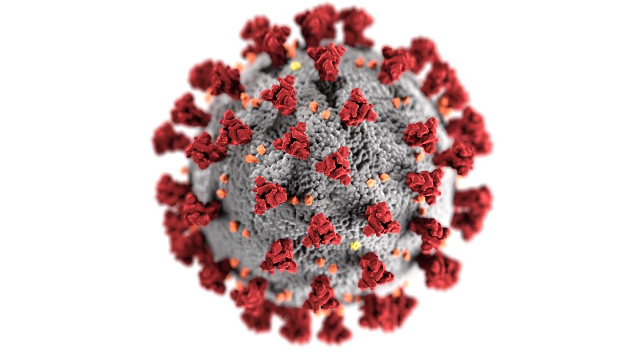 Pfizer says antiviral drug to treat COVID-19 could be here by year's end