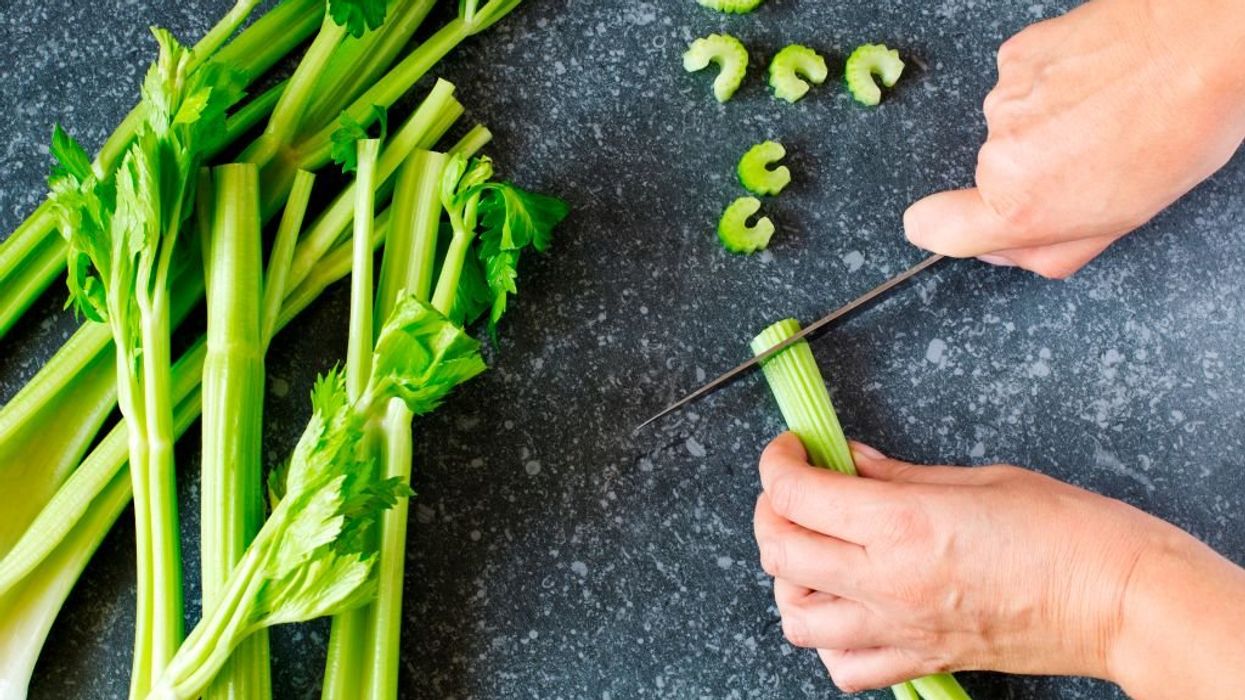 Plants emit ultrasonic screams when stressed: Study