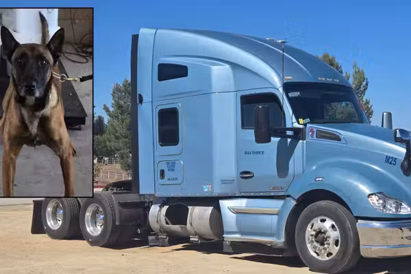 Police dog detects 'staggering' amount of meth smuggled in semitruck tank by Mexican national, CBP says