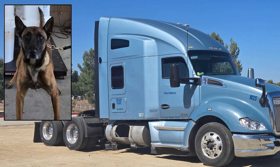 Police dog detects 'staggering' amount of meth smuggled in semitruck tank by Mexican national, CBP says
