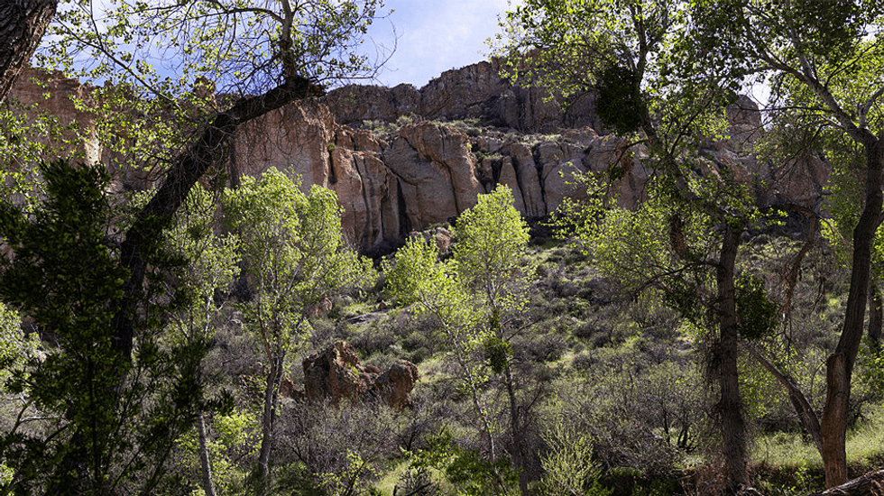 Police 'flabbergasted' after finding out what one man has been doing in an Arizona forest for 8 years