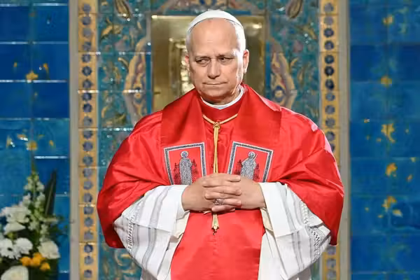 Police investigate bomb scare at Pope Leo's brother's house in Illinois