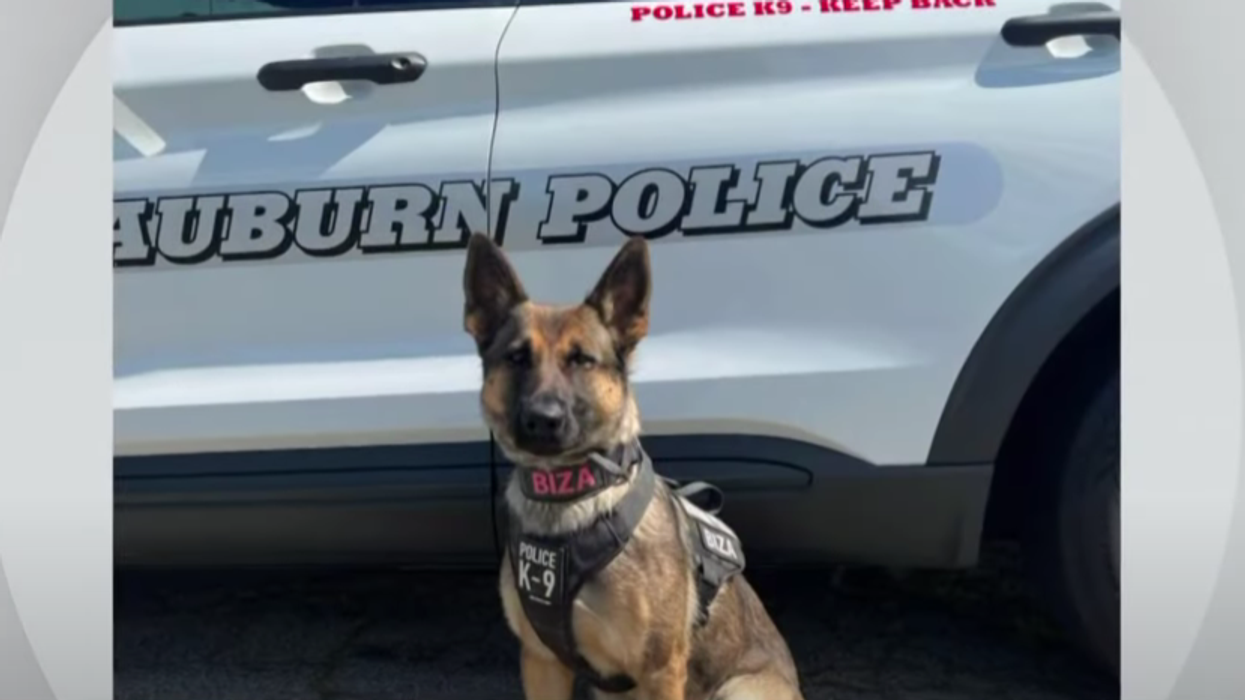 Police K-9 finds missing 12-year-old after tracking scent for more than 2 miles in freezing temperatures