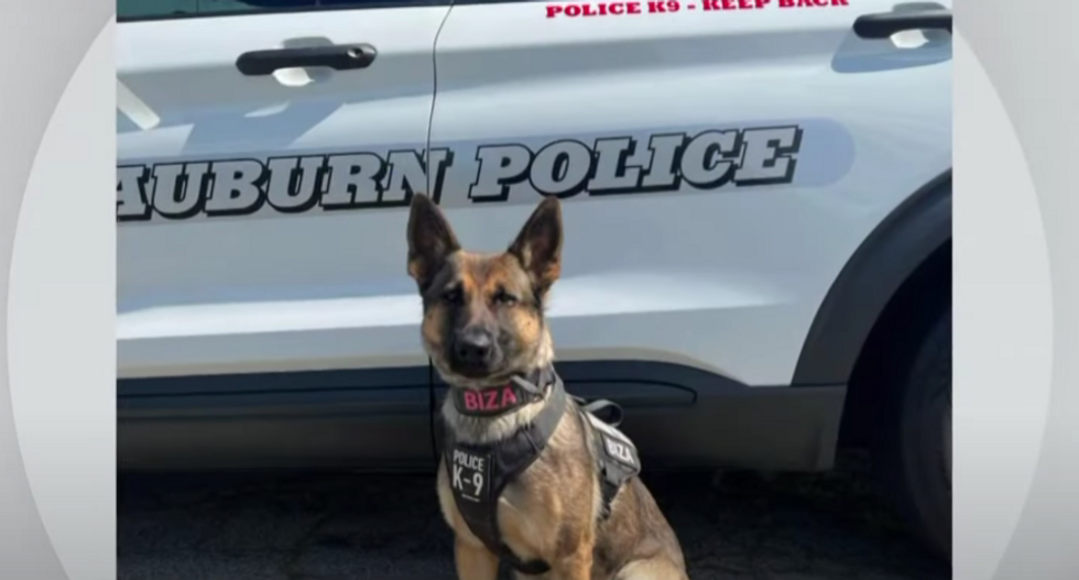 Police K-9 finds missing 12-year-old after tracking scent for more than 2 miles in freezing temperatures