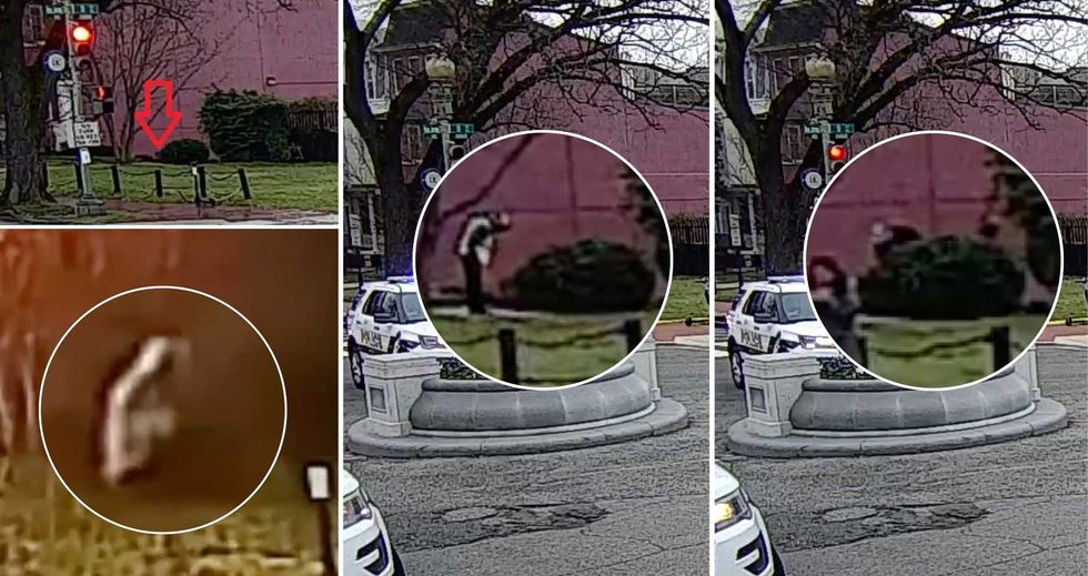 Police walked right past DNC pipe bomb to first look under a bush where bomber sat 17 hours earlier