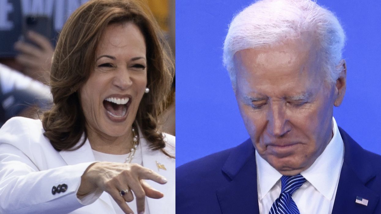 Poll finds rebound for Democrats on economics after Biden steps down, but pollster warns 'their worries aren't over'