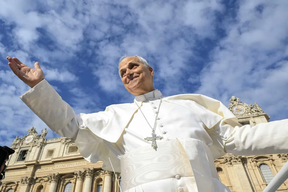 Pope Leo appoints bishops who defended DEI and criticized immigration enforcement