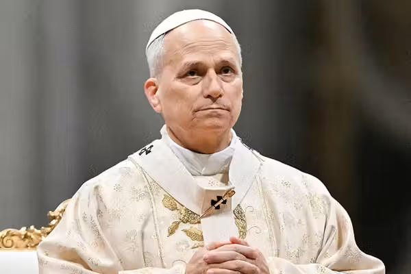 Pope Leo calls out gambling addiction and 'demographic crisis' in Vatican meeting