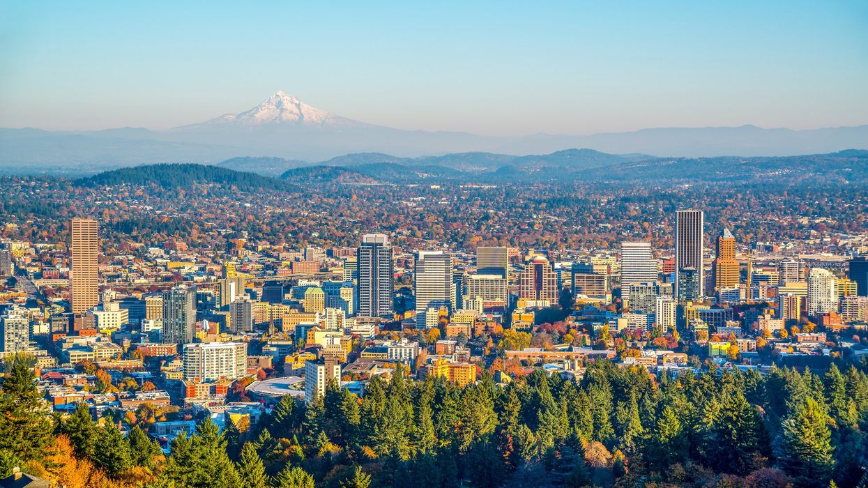 Portland-area county ditches DEI office, will focus instead on 'the merit, the talents of every individual'