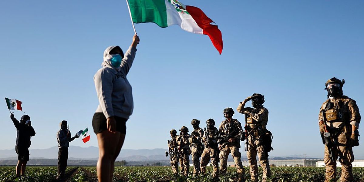 Pot farm raid update: Trump’s DHS found convicted rapists and kidnappers working near migrant kids Pot farm raid update: Trump’s DHS found convicted rapists and kidnappers working near migrant kids