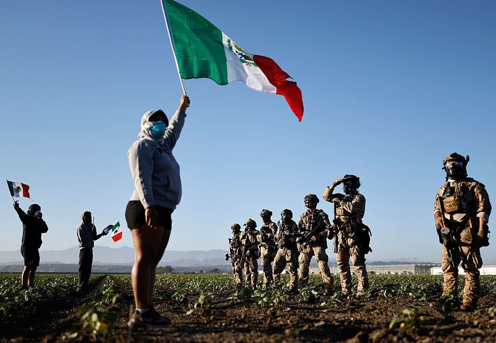 Pot farm raid update: Trump's DHS found convicted rapists and kidnappers working near migrant kids