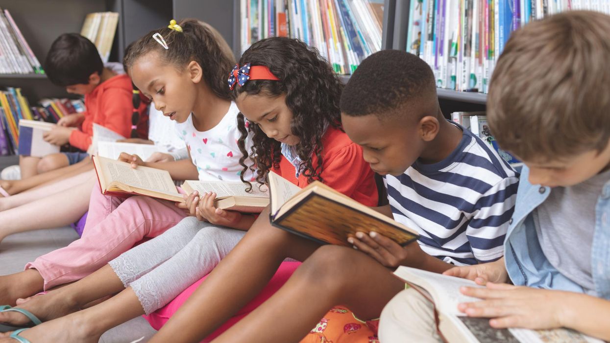 Public Library Association's national conference teaches librarians about 'queering the library,' how Dewey Decimal system is biased against 'historically marginalized groups'