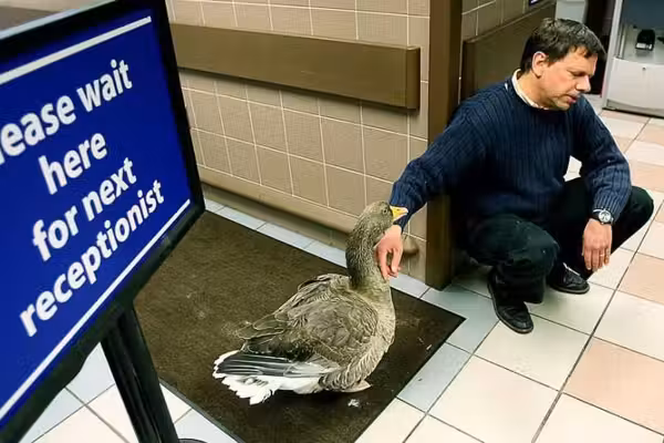 QUACK MEDICINE: Feds have insurance code for 'struck by a duck,' but not for gender detransition