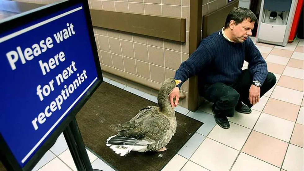 QUACK MEDICINE: Feds have insurance code for 'struck by a duck,' but not for gender detransition