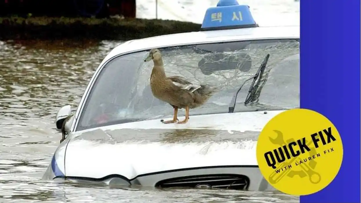 Quick Fix: Is a flood-damaged car worth the savings?