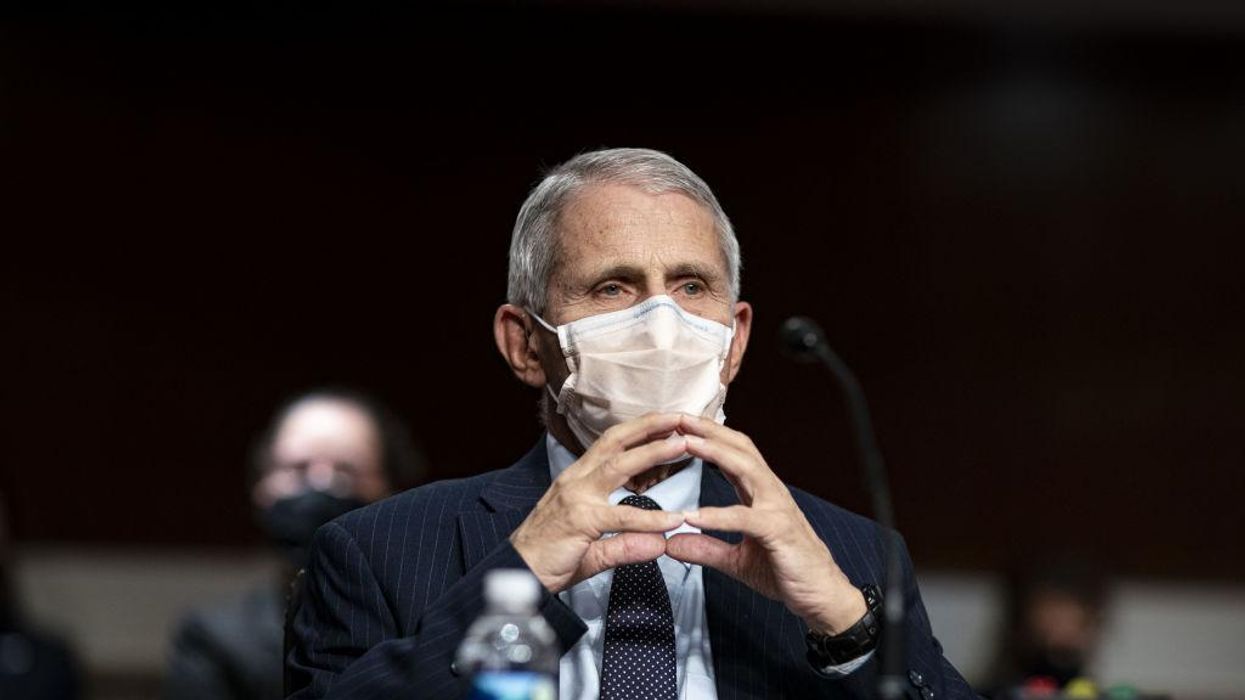 Rand Paul confronts Fauci on NIH funding for risky virus research: 'You appear to have learned nothing from this pandemic'