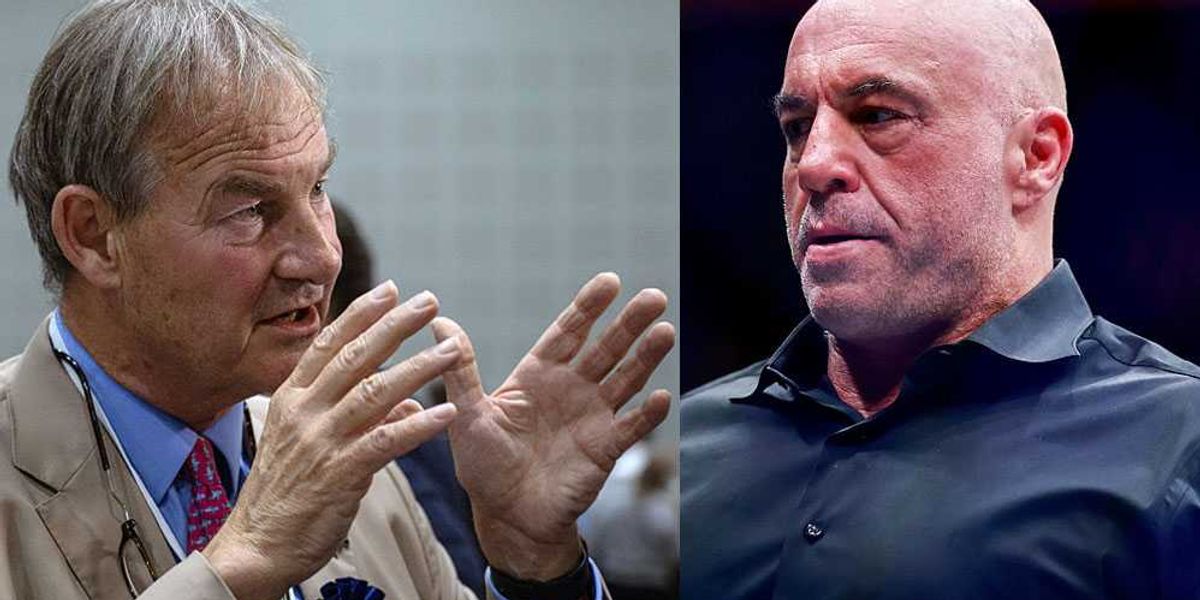 'Rape of Britain' ignored because of the Muslim vote, UK lawmaker tells Joe Rogan