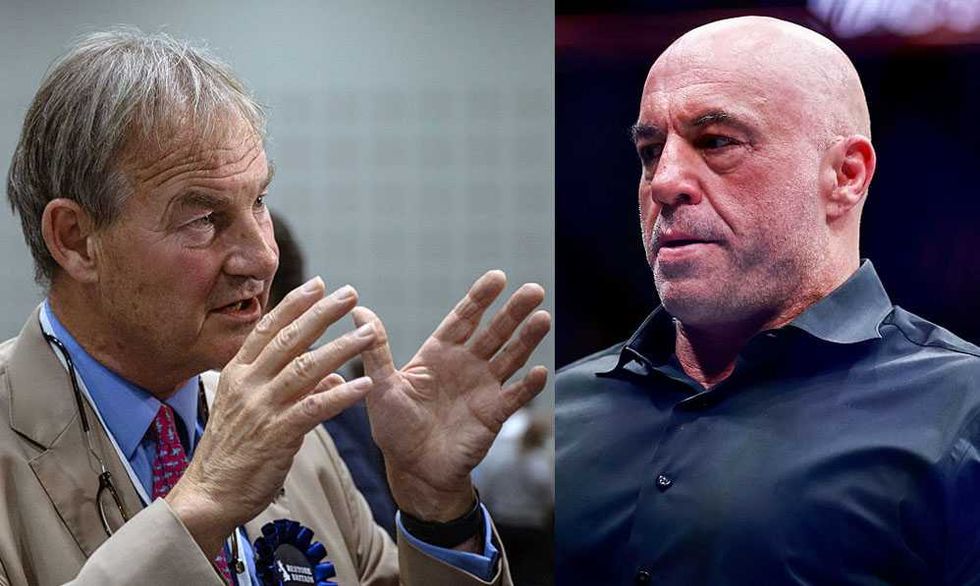 'Rape of Britain' ignored because of the Muslim vote, UK lawmaker tells Joe Rogan