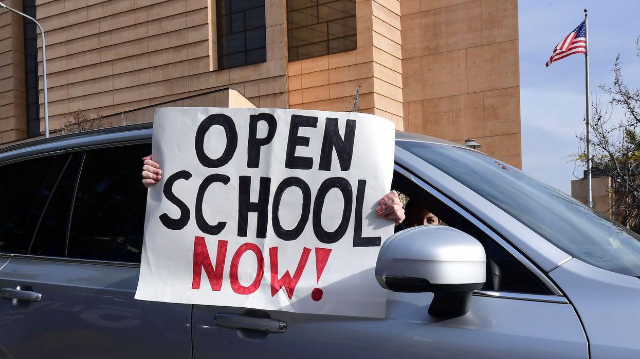 'Really f***ed up': Progressive writer blasts Democrats for playing politics, cowering to unions, and ignoring science in refusal to reopen schools