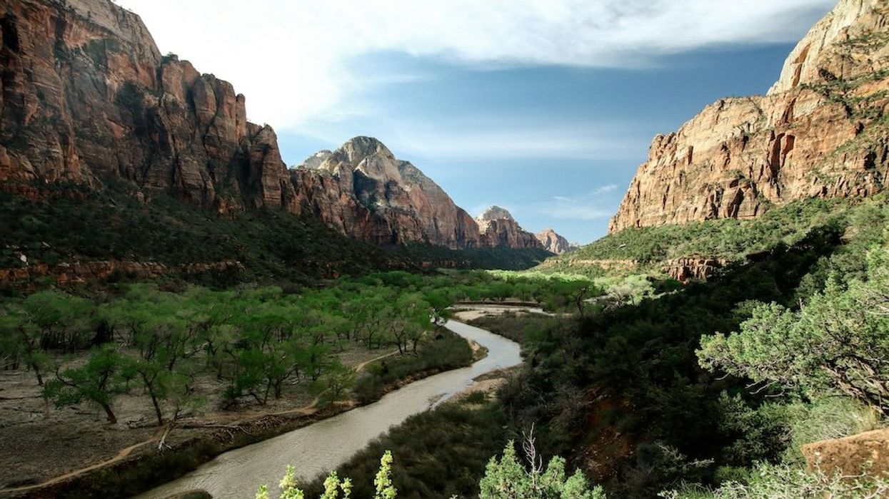 Reclaiming ‘environmentalism’ from the radical left