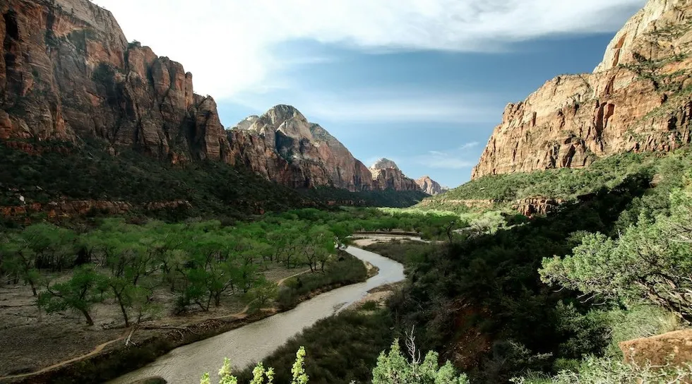 Reclaiming ‘environmentalism’ from the radical left