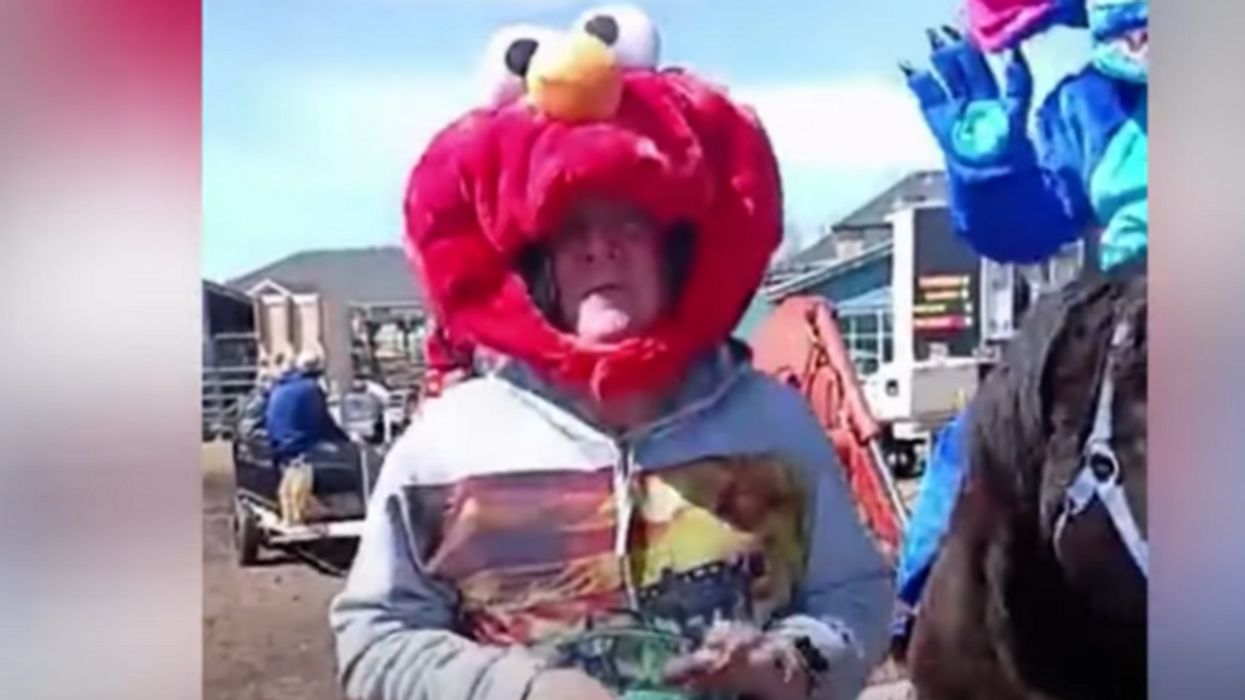 Registered sex offender arrested after dressing up as Elmo around children, operating farmers' market