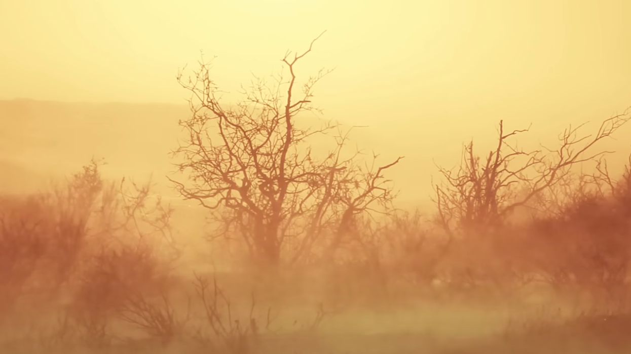 Renowned climate scientist who once warned about global warming now says alarmists push crisis for 'fame and fortune'