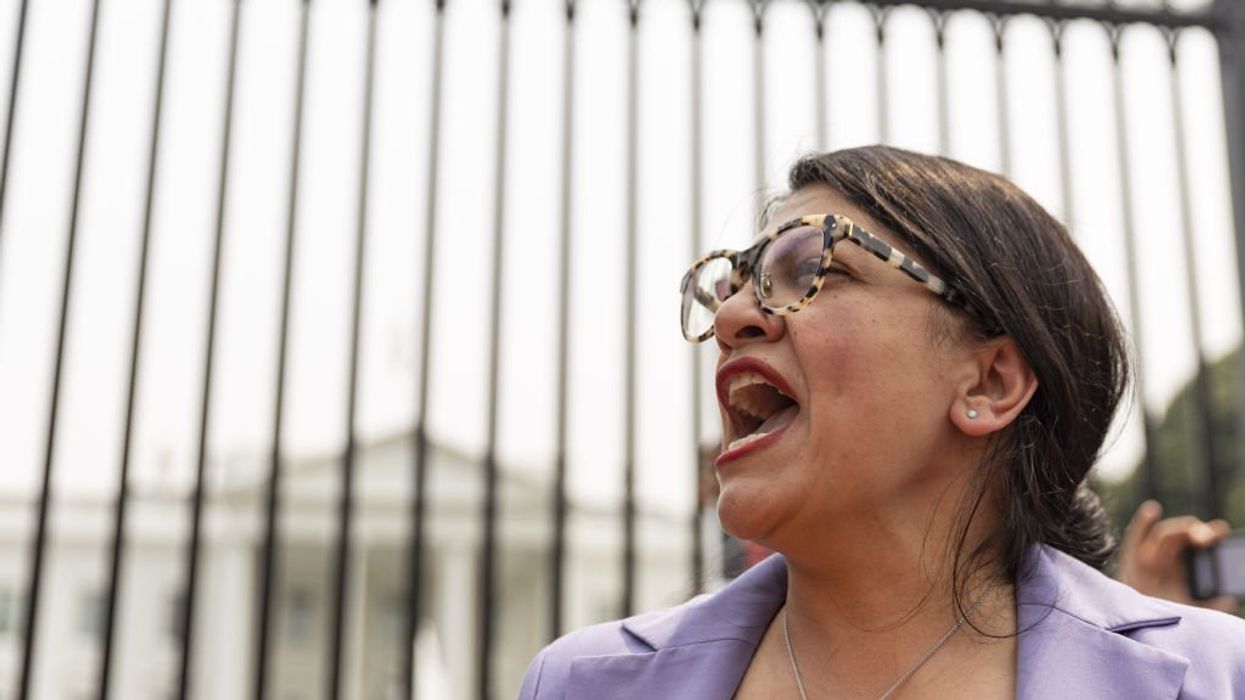 Rep. Rashida Tlaib urges climate alarmists planning on blocking American highways and vandalizing art to be 'much more aggressive'