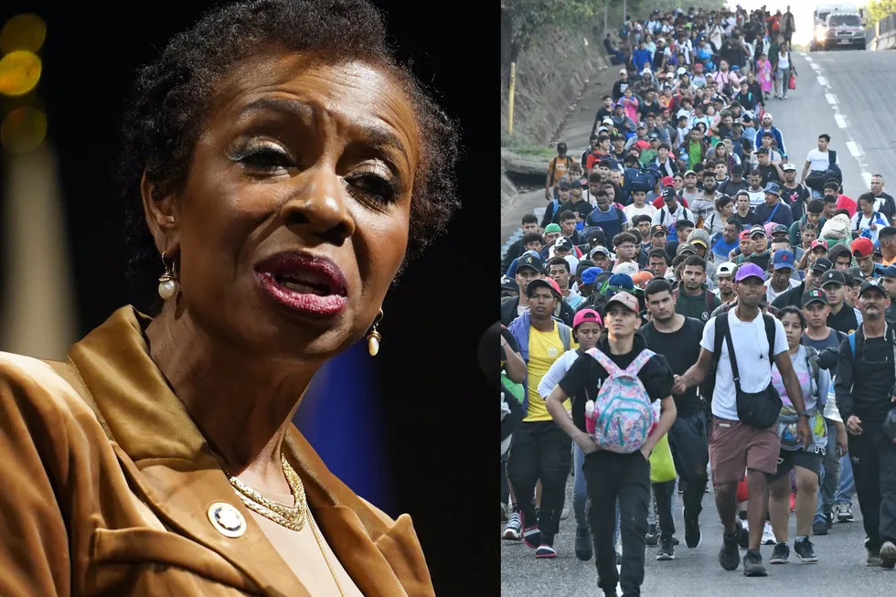 Resurfaced video of Democrat admitting the real reason leftists want immigration is going viral