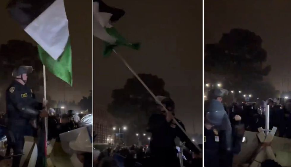 Riot police successfully take control at UCLA‚ throwing away Hamas-endorsed radicals&apos; Palestinian flag