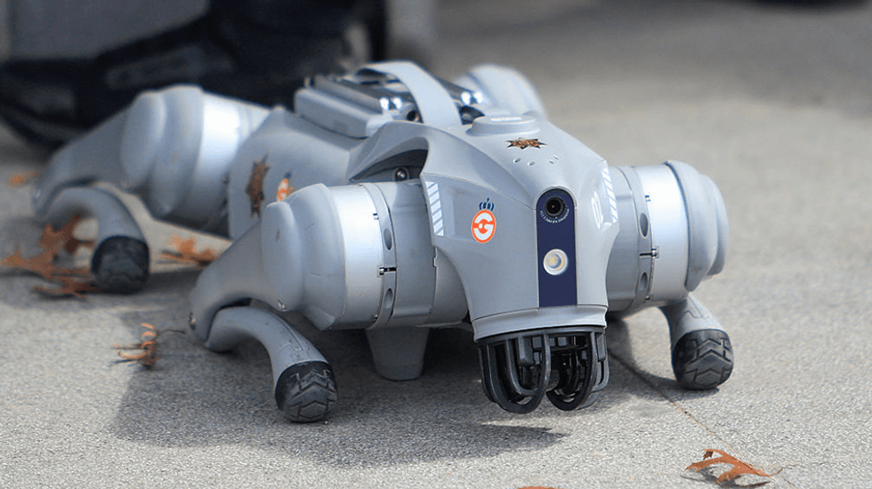 Robot guard dogs with 'Indian accents' are real — and this neighborhood loves them