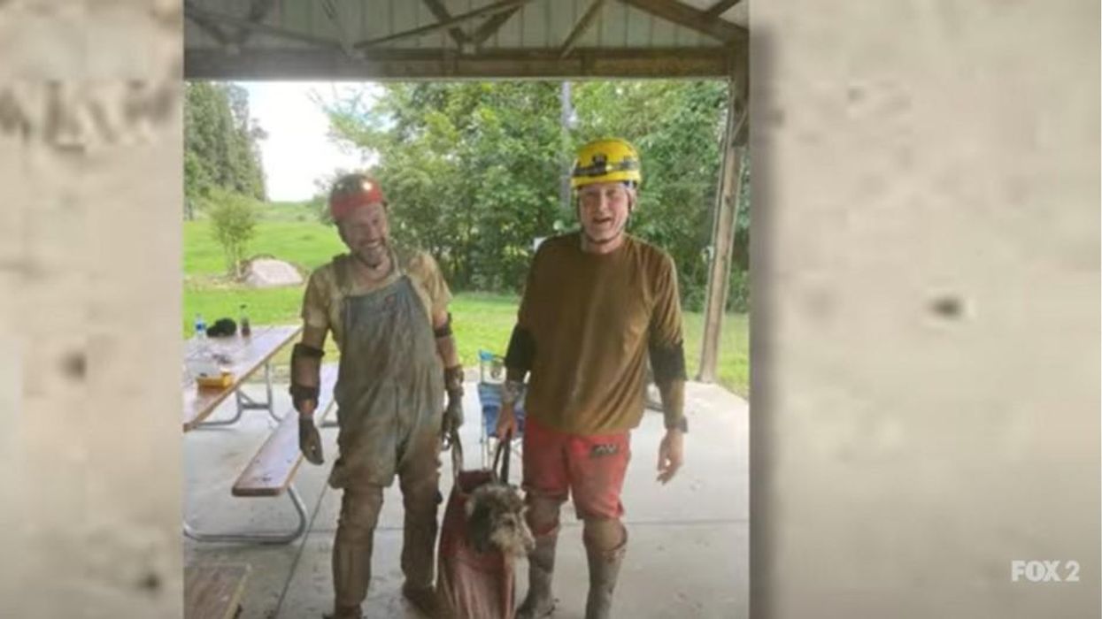 Ruff rescue: Spelunkers save dog trapped in Missouri cave