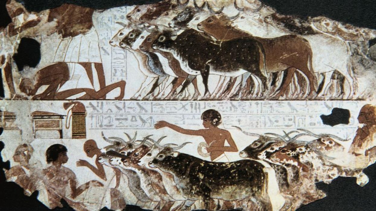 Ryan: The humans who came before us