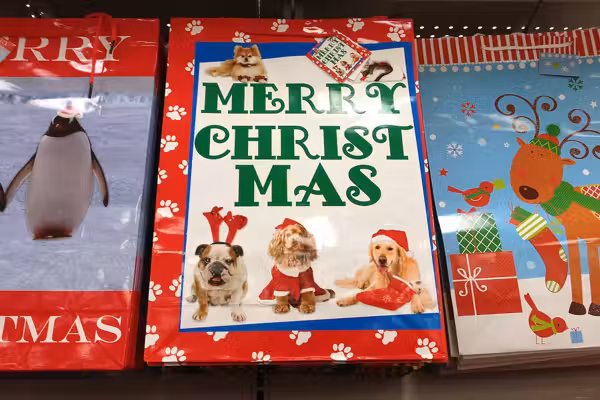 'Santa, I want the head of a Nazi under my tree': Masked creeps deliver Christmas cards with threatening leftist messages